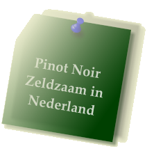 Pinot Noir Zeldzaam in Nederland